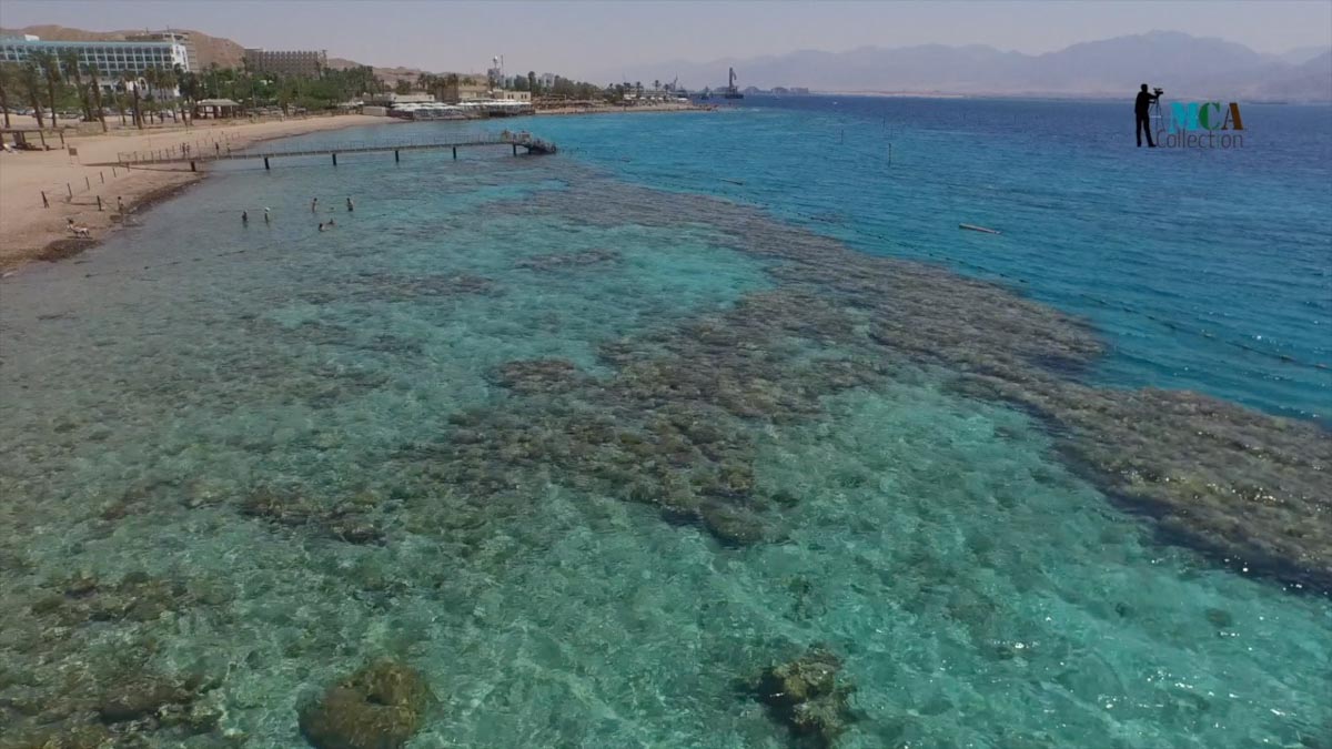 Israel, Eilat, Coral Reef