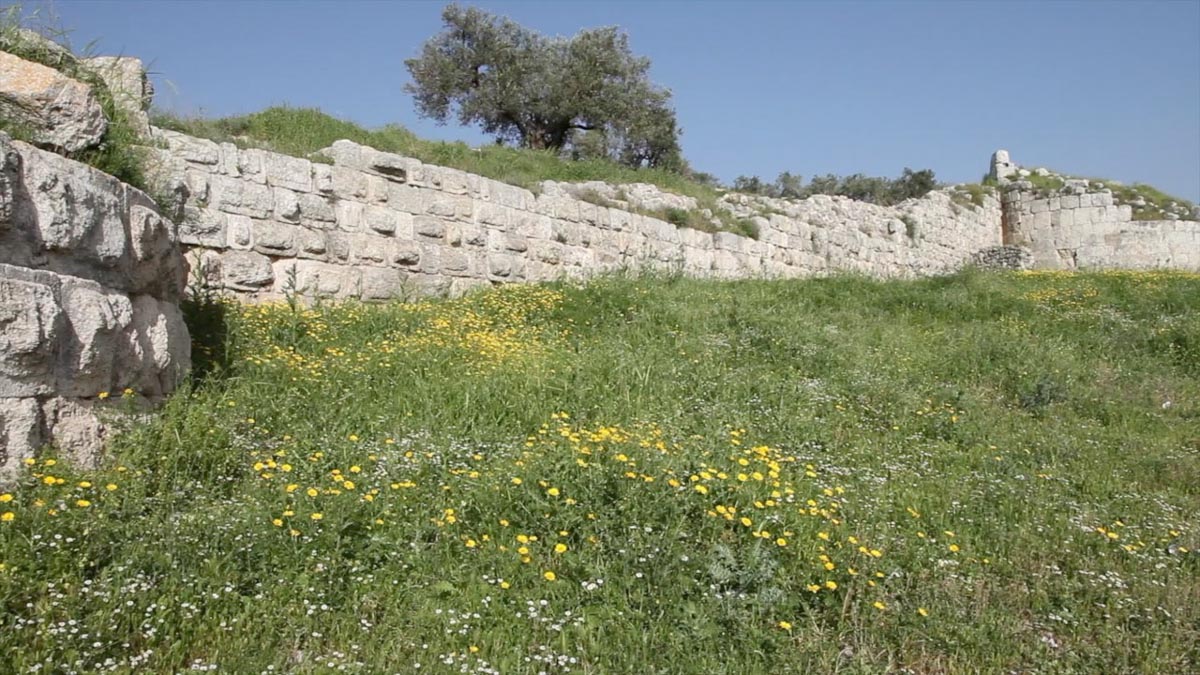 Iarael, Samaria, Roman walls