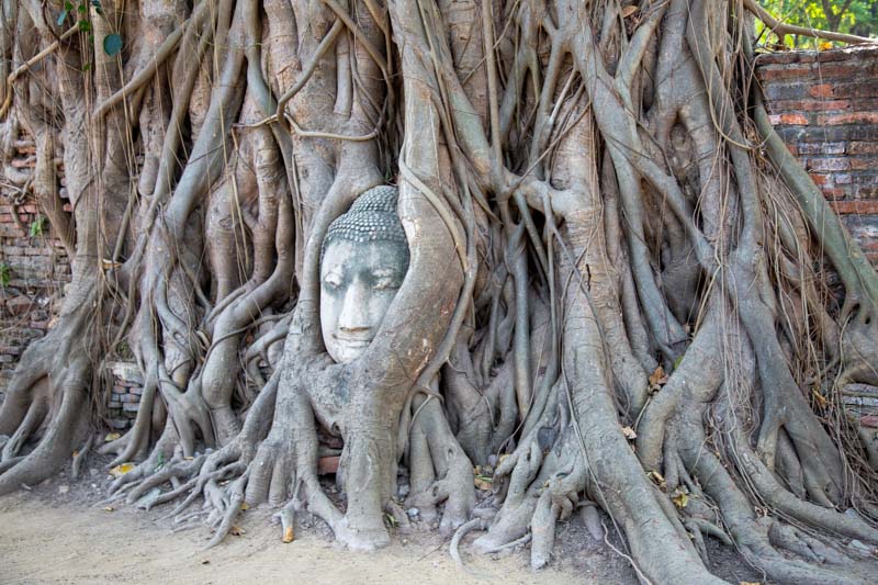 Thailand, Ayutthaya - Wat Mahathat