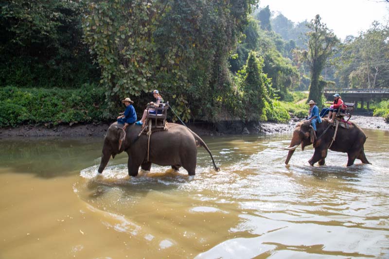 Thailand, Lampang Thai elephant conversation center