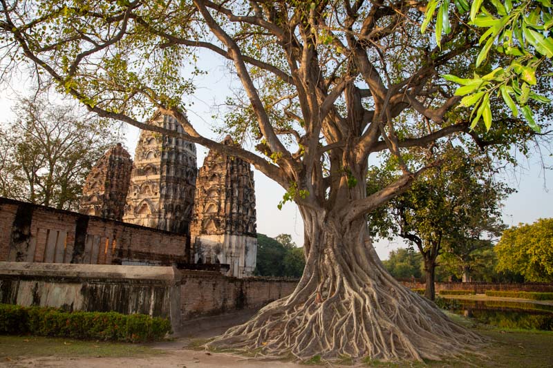 Thailand, Sukhothai - Wat Si Sawai