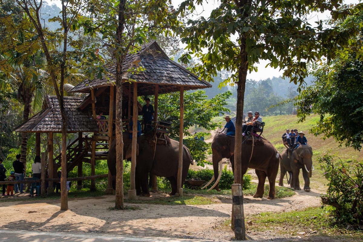 Lampang Thai elephant conversation center
