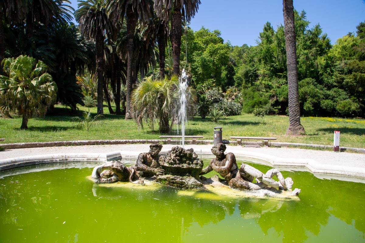 Italy, Rome - Botanical Gardens