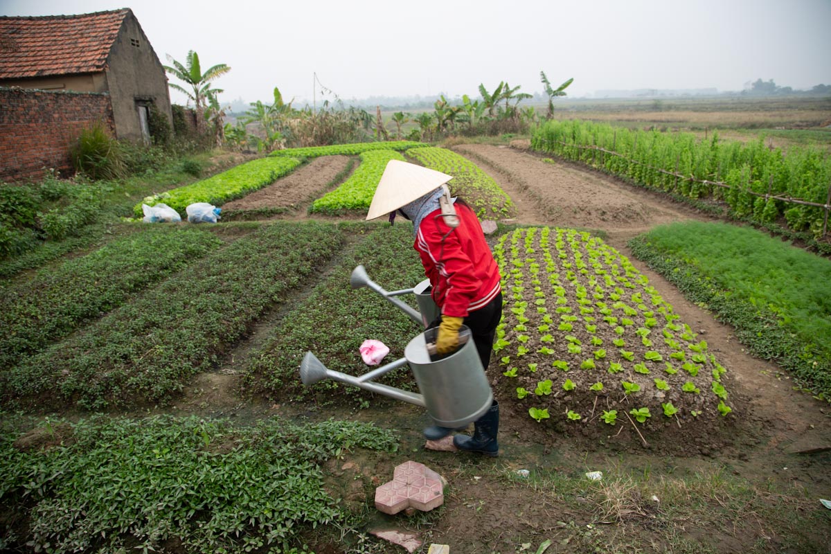 Vietnam