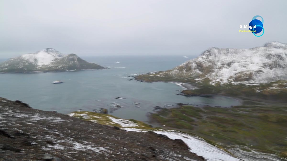 South Georgia Island, Cooper bay