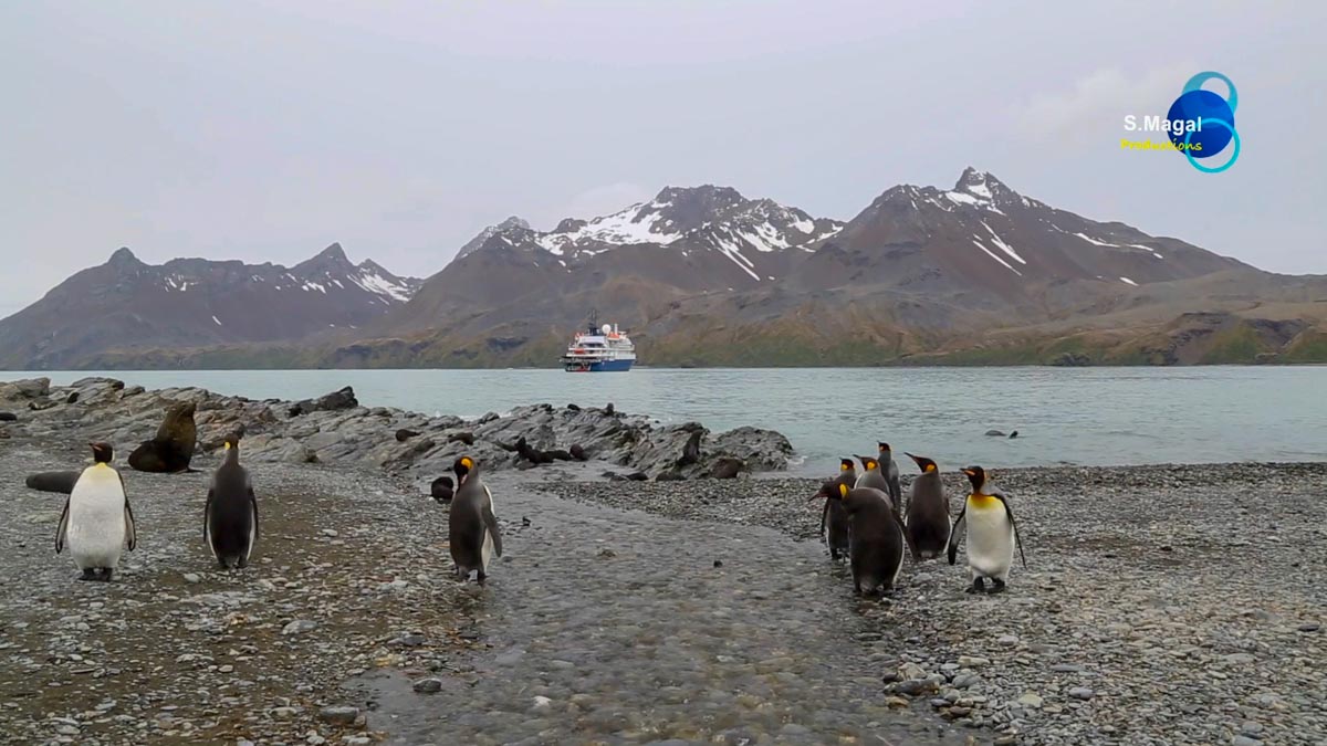 South Georgia Island