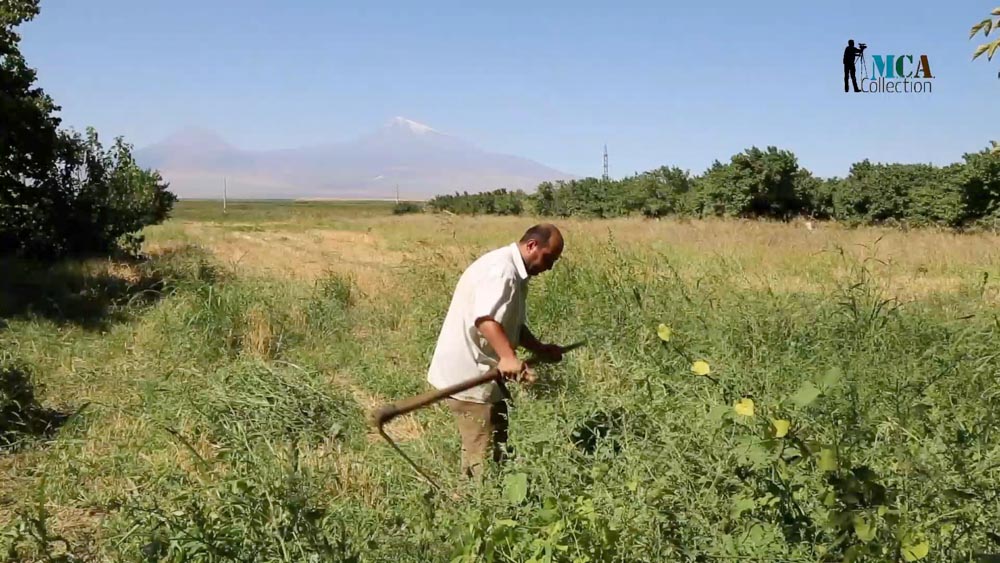 Agriculture