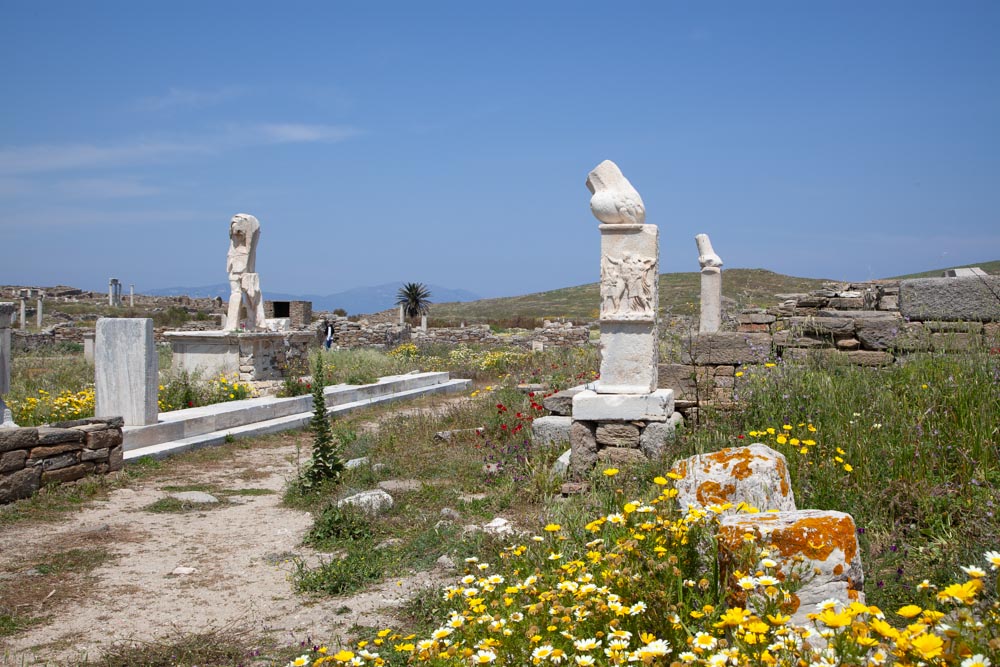 Greece, Delos Island, Exedra of Dionysus