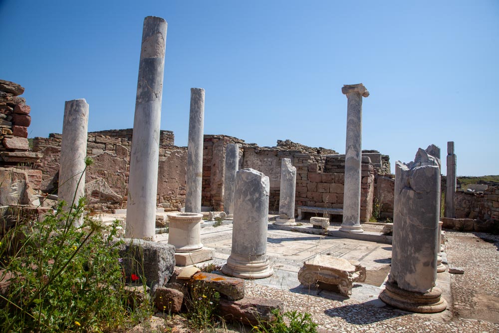 Greece, Delos Island, House of the Lake
