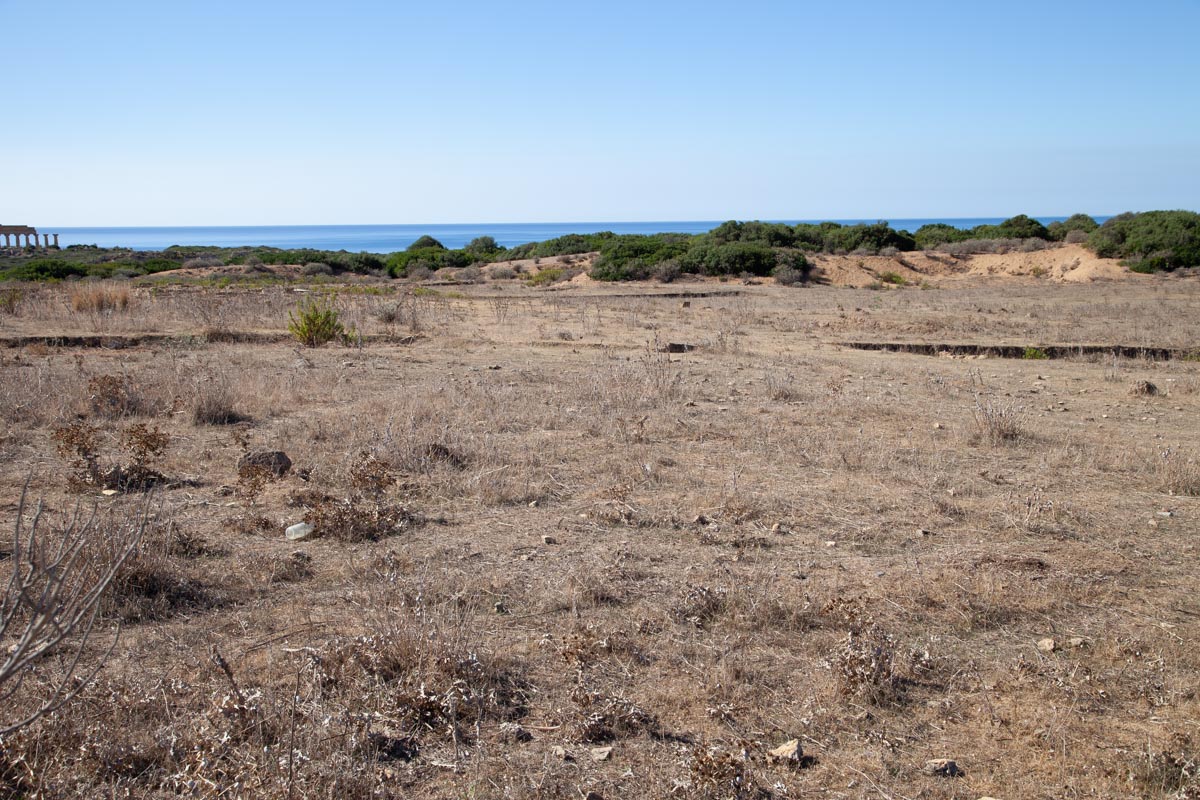 Italy, Sicily - Selinunte agora