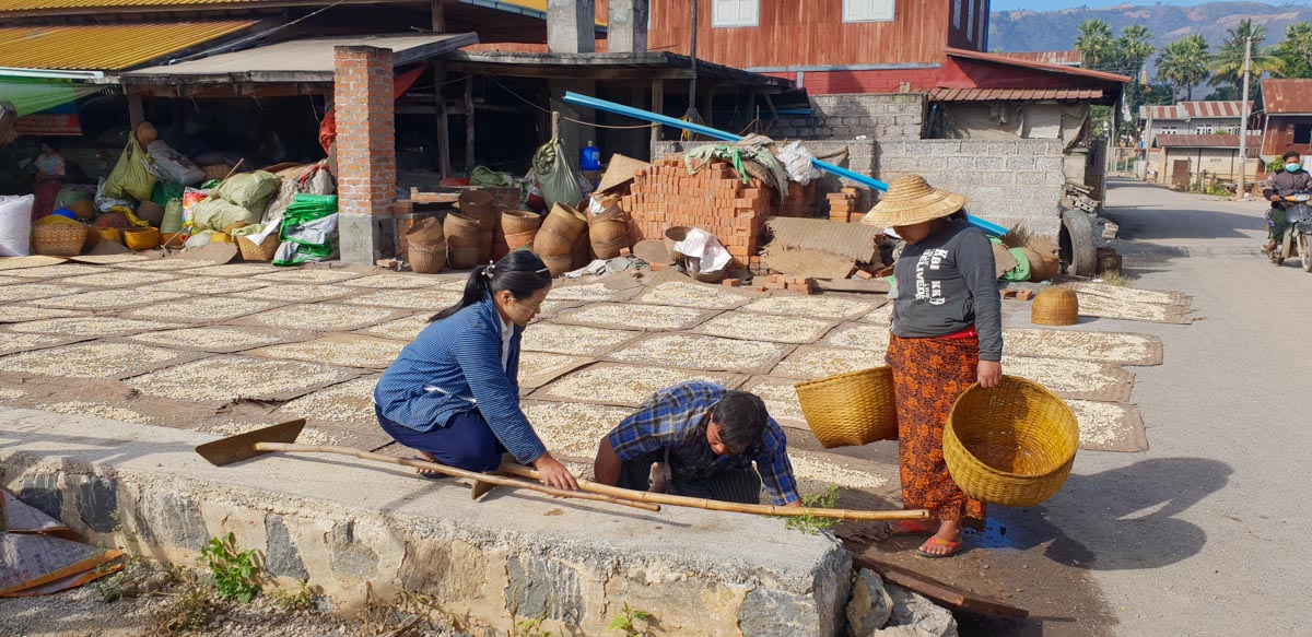Myanmar, traditional - Inle Lake - Preparation of legumes