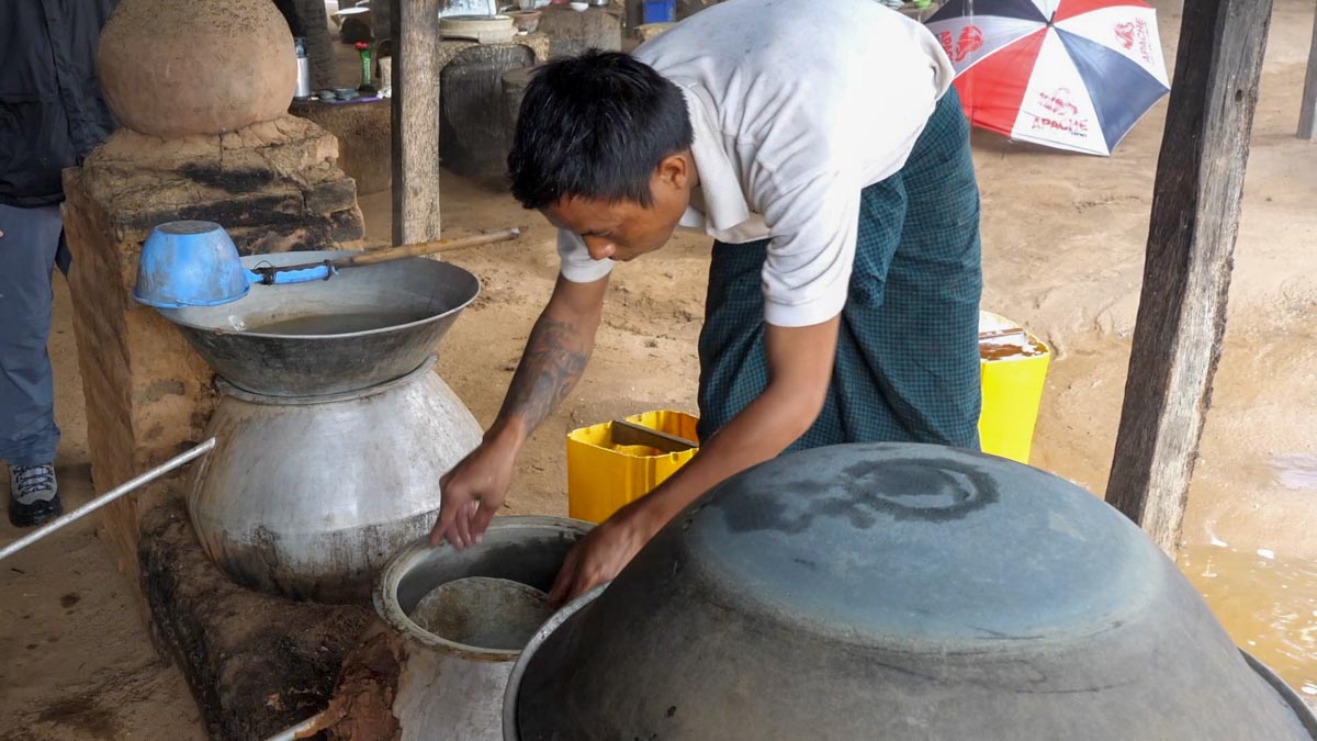 Myanmar, traditional - Preparation of plam liquor, from toddy plam trees