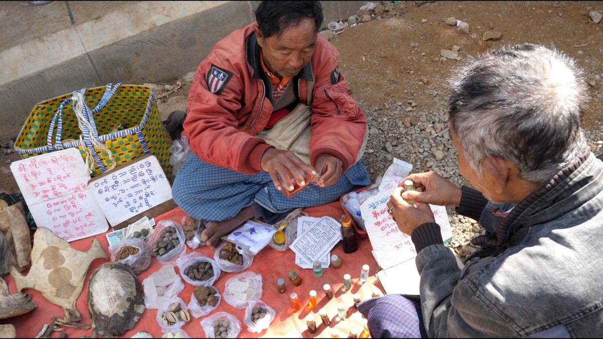 Myanmar, traditional - Taunggyi markets -sale of traditional medicines
