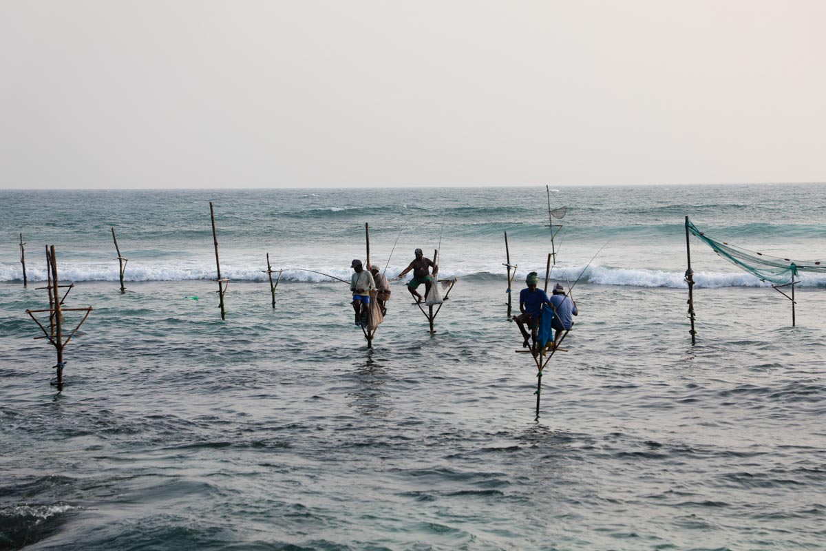 Sri Lanka, Traditional - Stilt fishing
