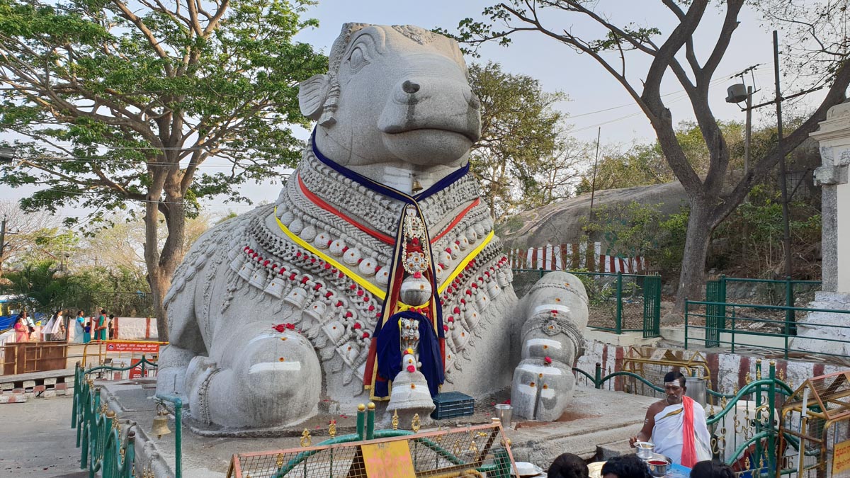 India, Karnataka - Chamundi Hills - Traditional - Religious climbing and painting steps and statues