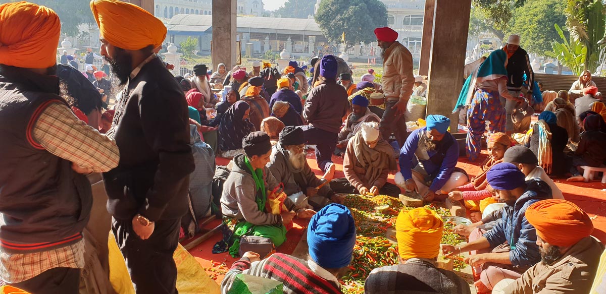India, Punjub - Golden temple (Harmandir Sanib) Traditional - Preparing food