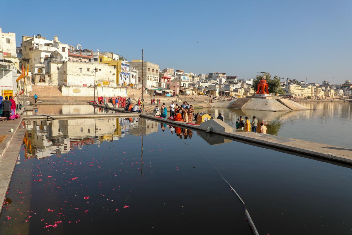 India, Rajasthan - Pushkar- Traditional - Pilgrims throw roses into lake Pushkar
