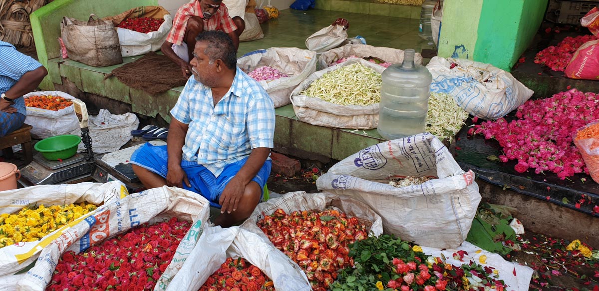 India, Tamil Nadu - Madurai - Traditional - flower market