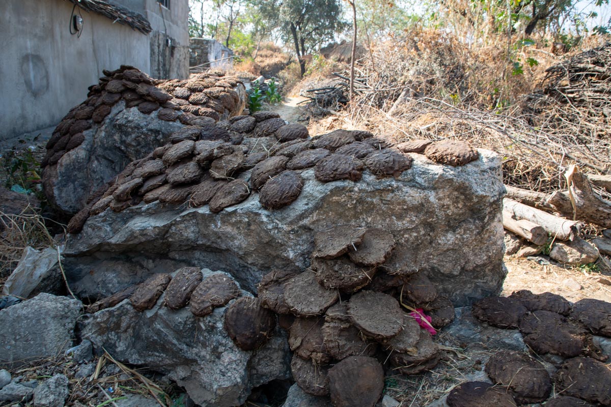 India, Uttar Pradesh - Traditional - "Dung Cakes" for heating