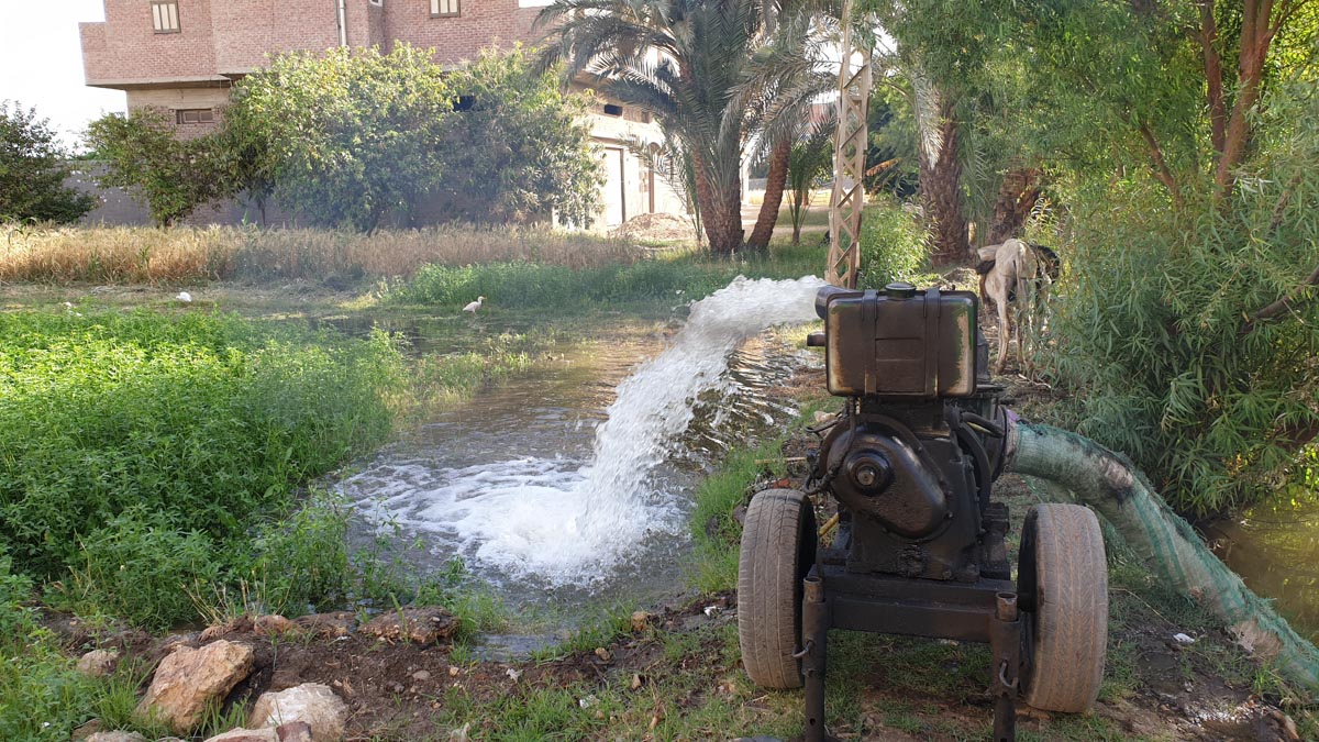 Egypt, Luxor- Traditional - Irrigation, flooding of fields