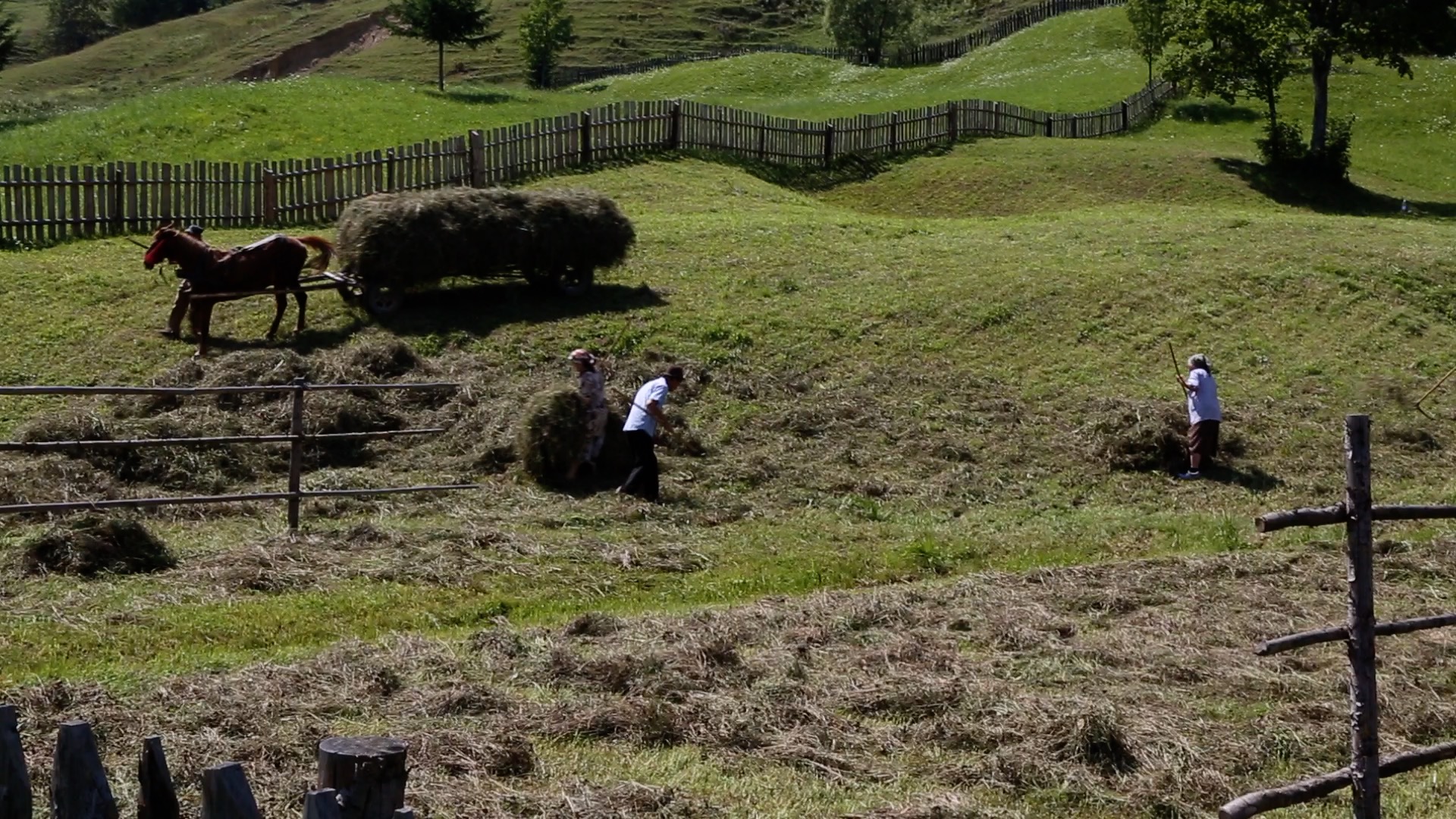 Romania, Traditional - Farmers