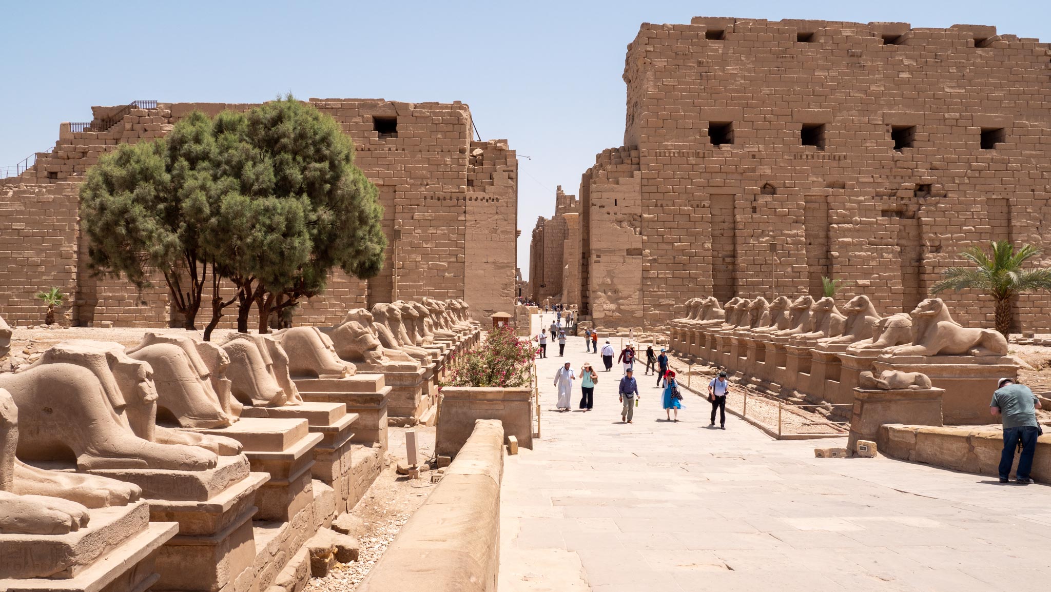 Egypt, Luxor - Karnak  Temple - Acces Dromos