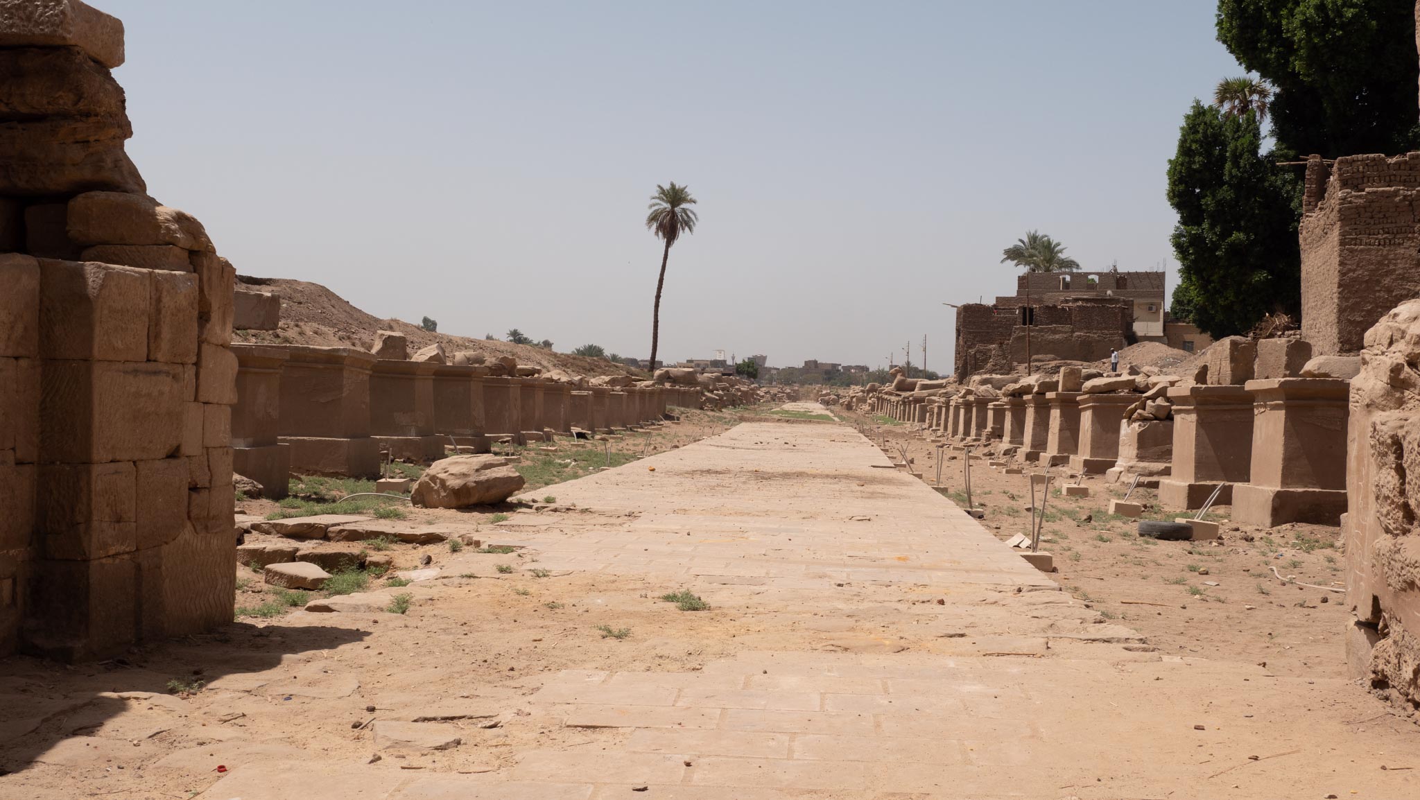 Egypt, Luxor - Karnak  Temple - Southern Dromos