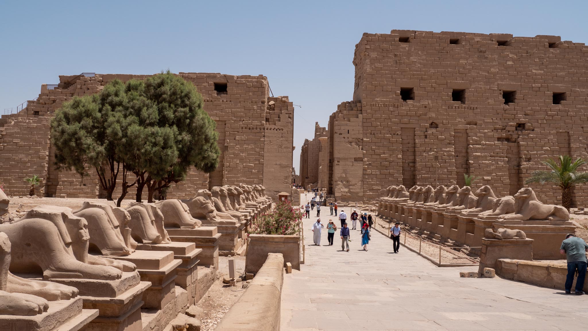 Egypt, Luxor - Karnak  Temple  Complex