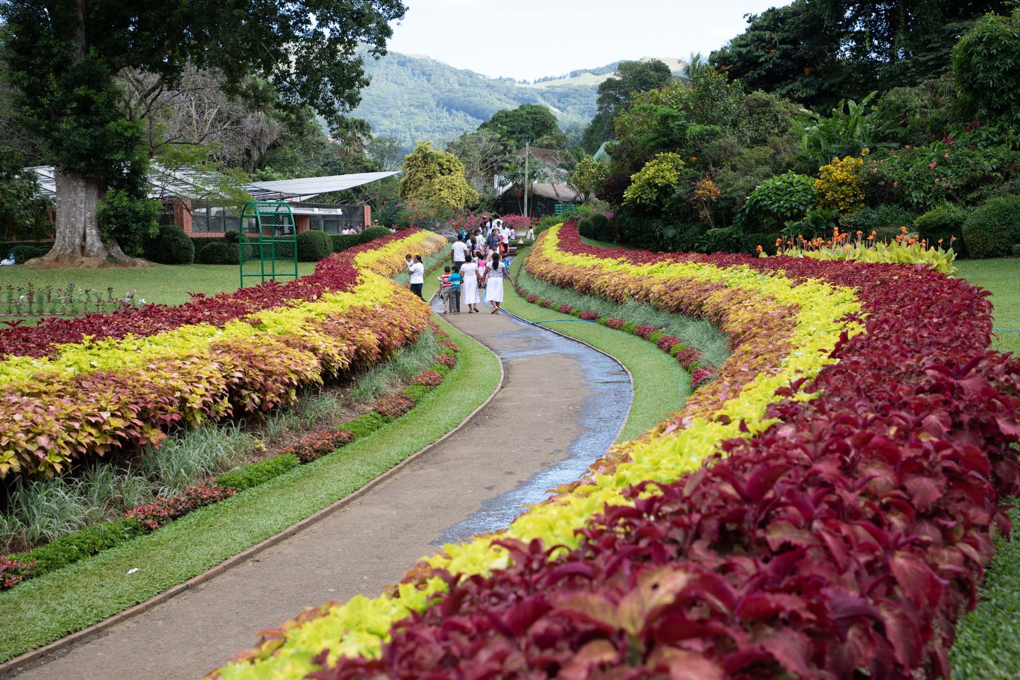 Sri Lanka, Kandy - Royal Botanical Gardens