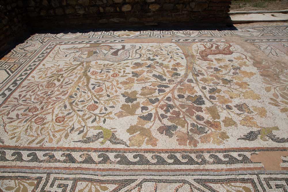 North Macedonia, Heracles Lyncetis ancient city - Mosaics