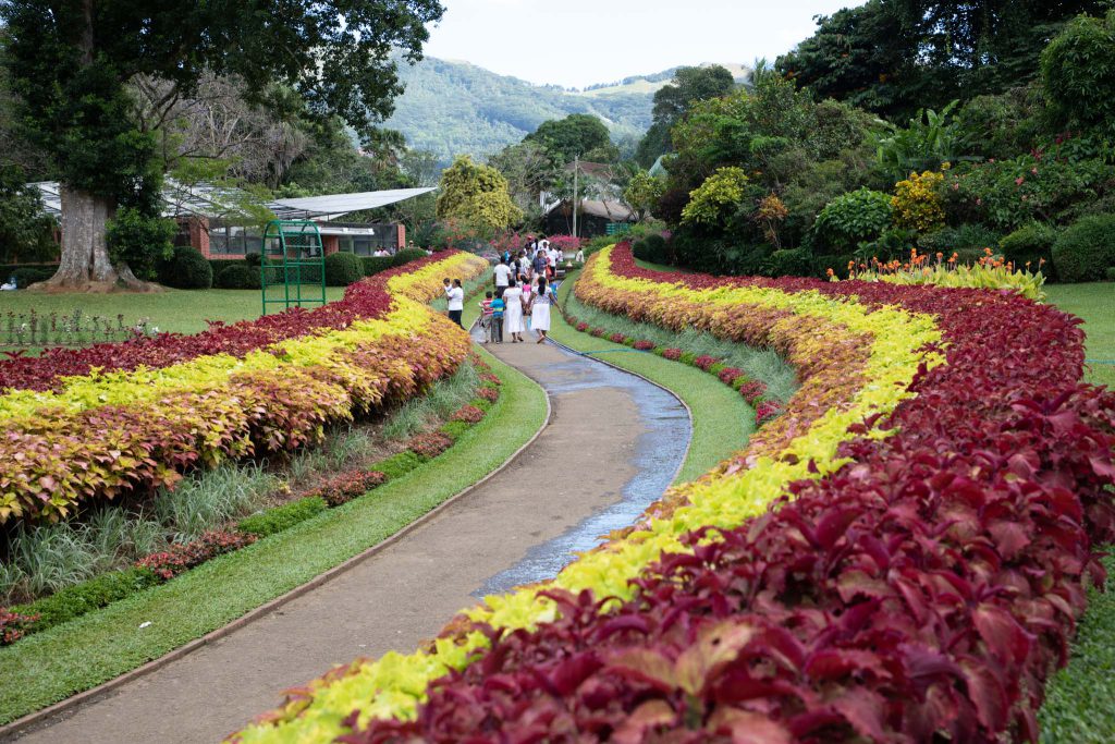 Sri Lanka, Kandy – Royal Botanical Gardens