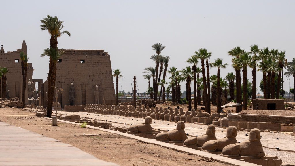 Egypt, Luxor – Temple of Luxor – Dromos of Sphinxes of Nectanebo I