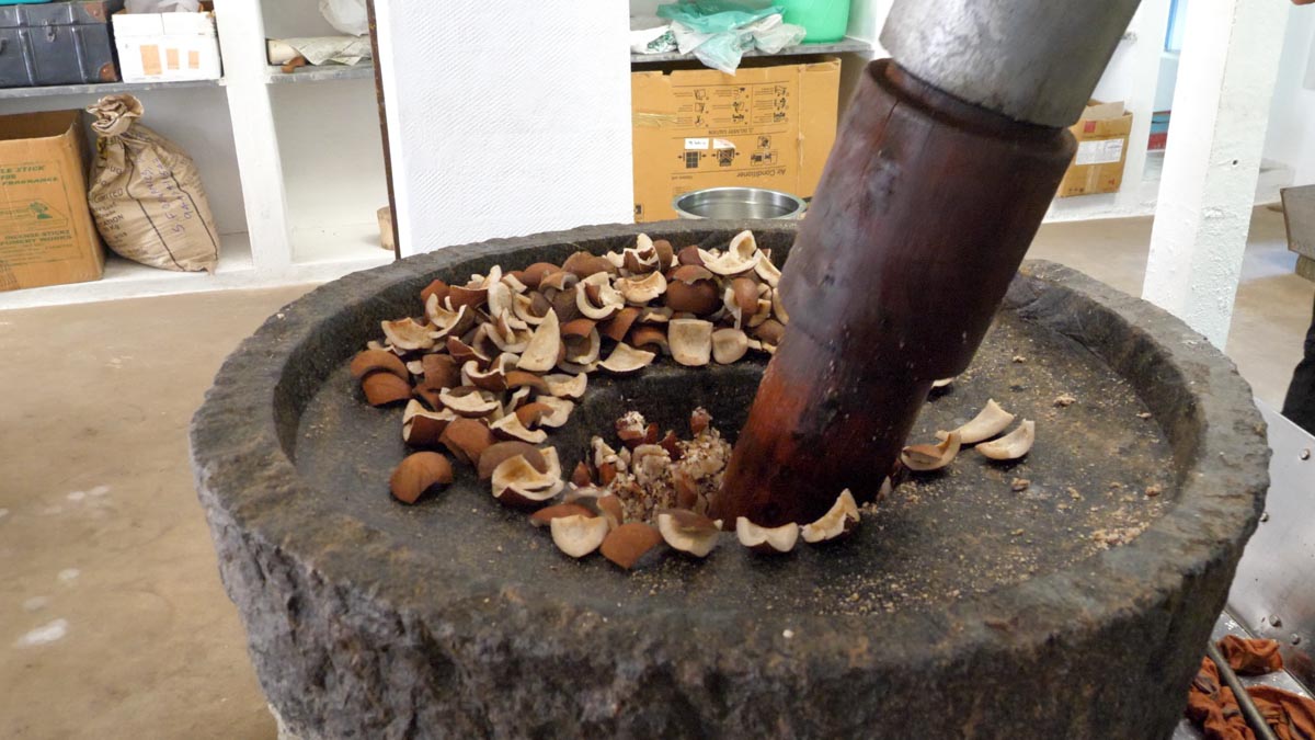 India, Tamil Nadu – Traditional – Production of oil and food from coconuts