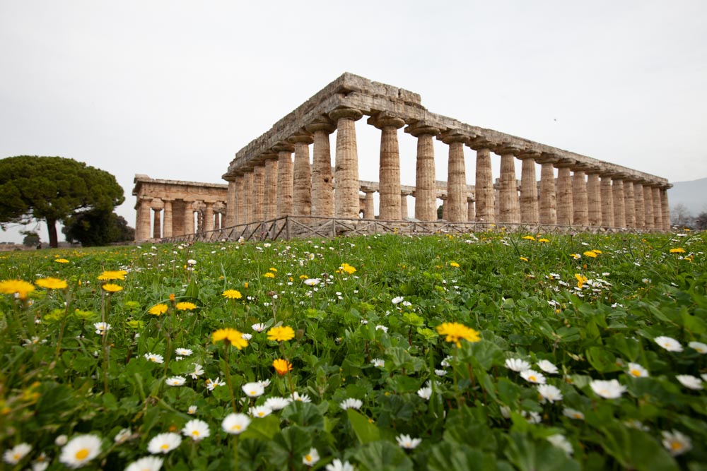 Italy, Paestum – Temple of Hera (Basilica)