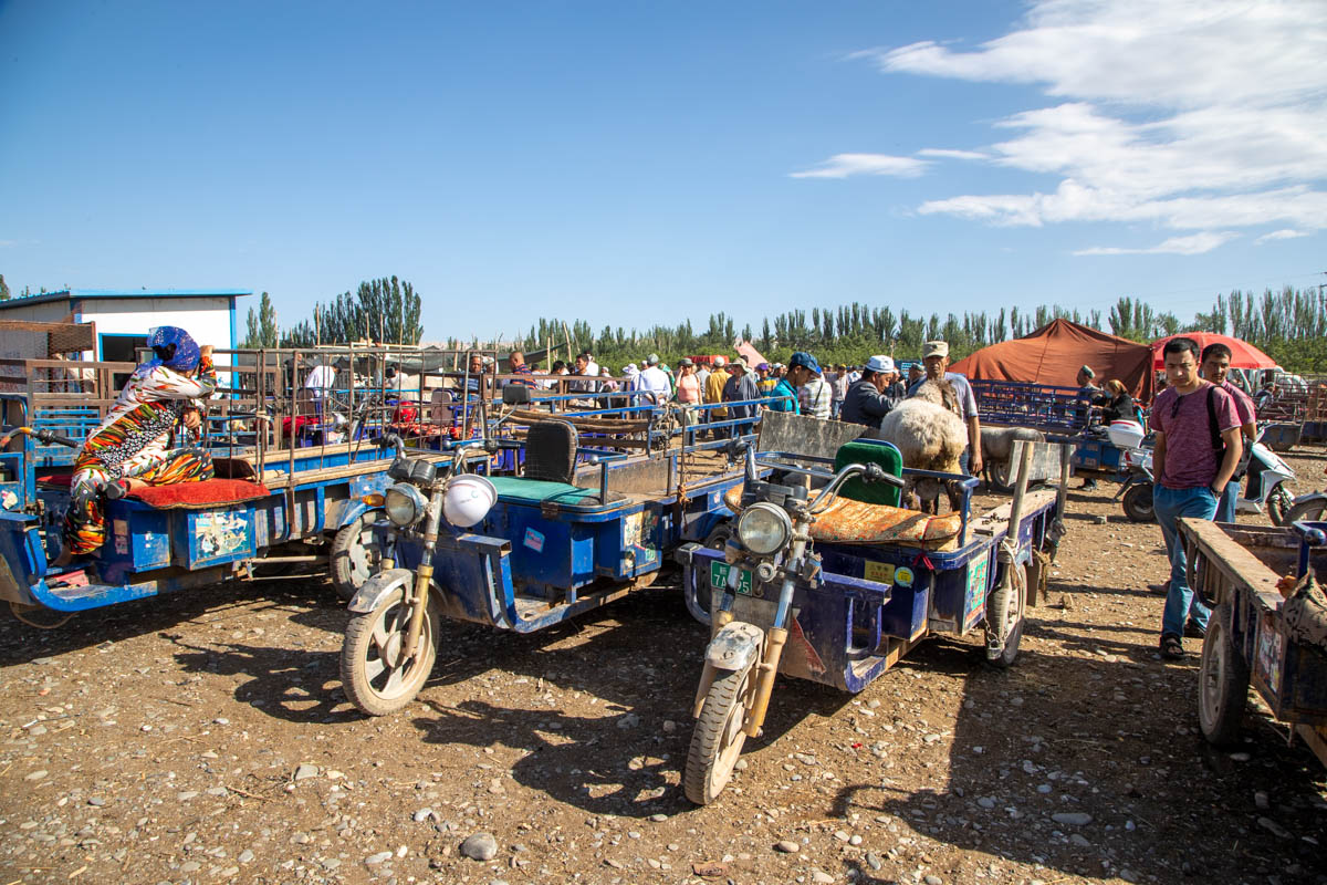 China, Kashgar – Animals market