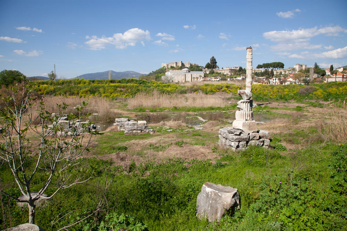 Turkey, Izmir, Ephesus, Temple of Artemis