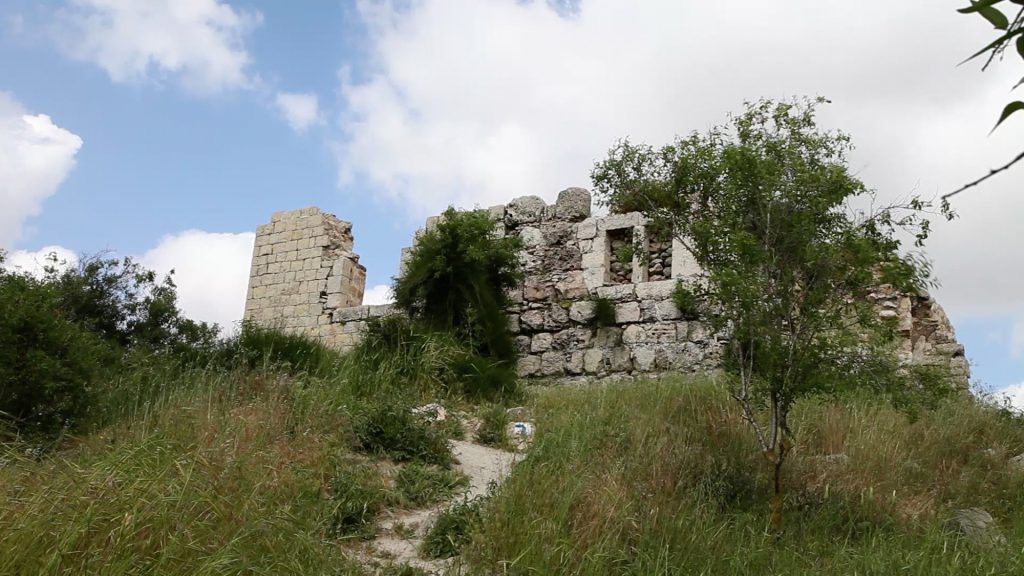 tel zuba