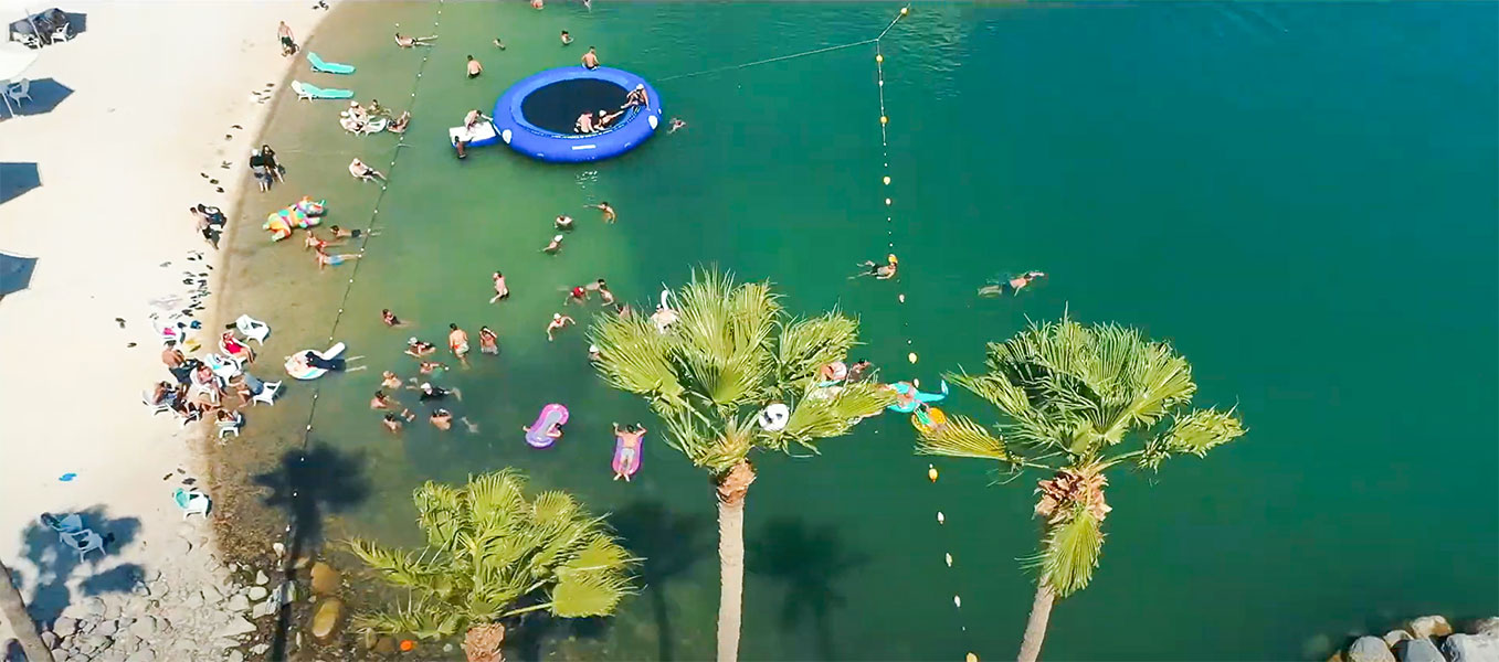 AVNON GROUP | Summer Bush – פושרז גרופ