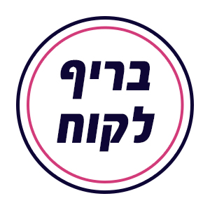 בריף ללקוח