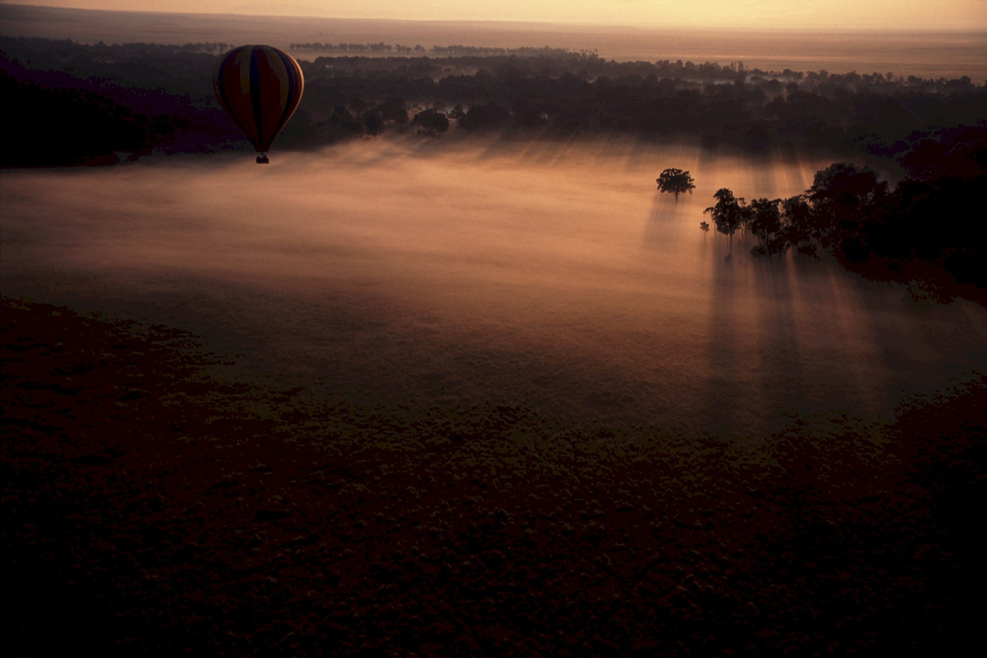 נוף בשעת בוקר