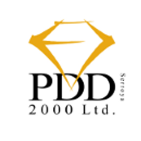PDD 2000 Ltd.