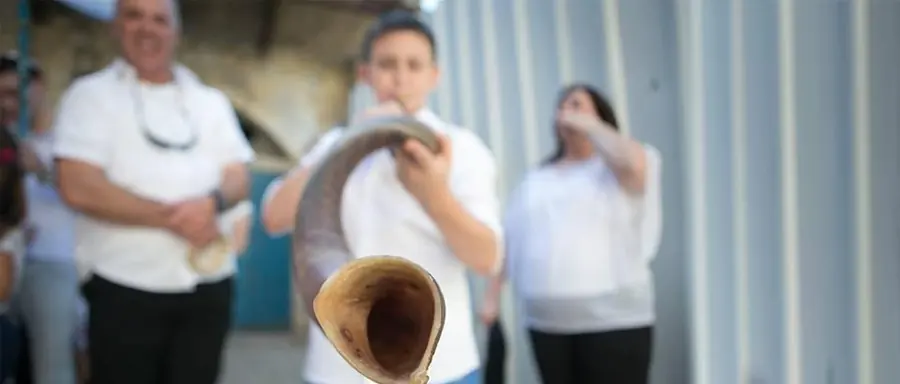 בר מצווה ביפו — 2
