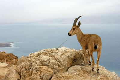 Avi Ben Yosef tour photo 17