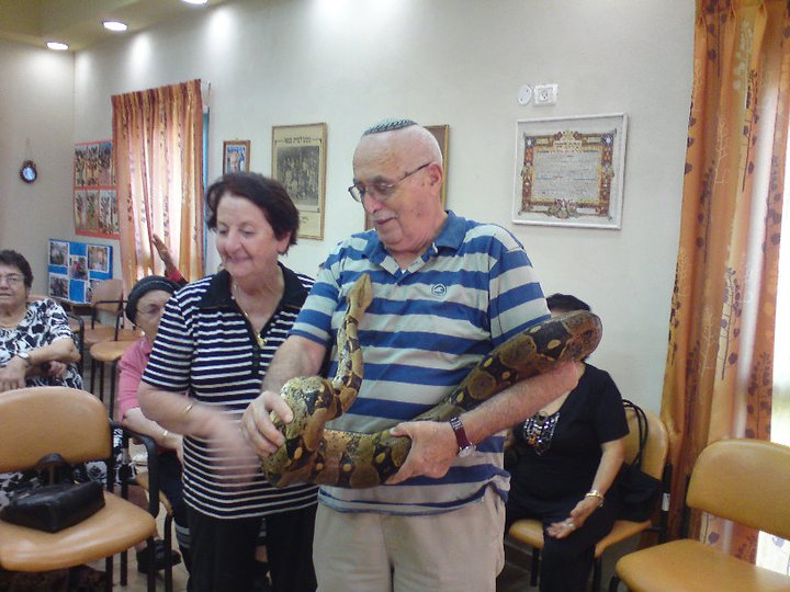 קרין ZOO — גלריית תמונות, תמונה 48 מתוך 145