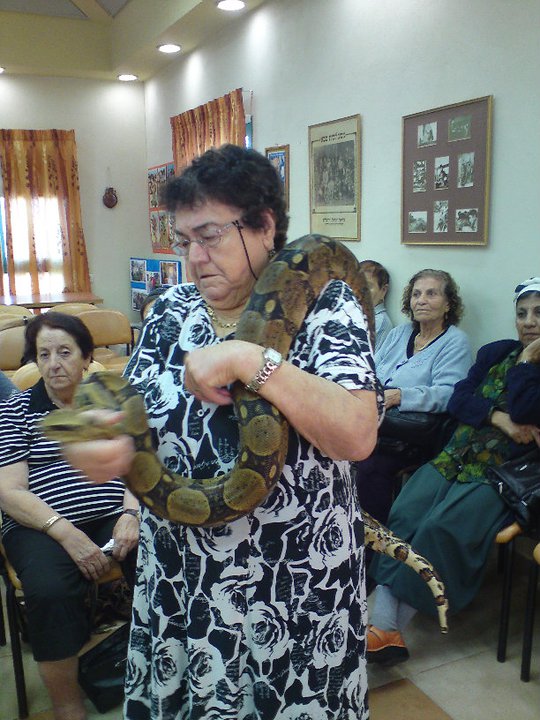 קרין ZOO — גלריית תמונות, תמונה 63 מתוך 145