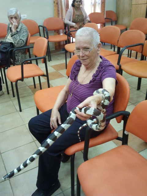 קרין ZOO — גלריית תמונות, תמונה 42 מתוך 145
