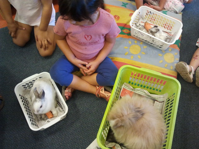 קרין ZOO — גלריית תמונות, תמונה 131 מתוך 145