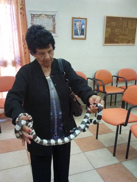 קרין ZOO — גלריית תמונות, תמונה 44 מתוך 145