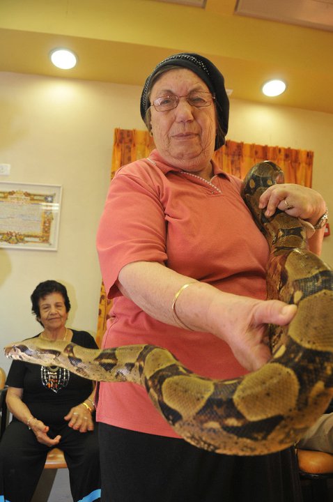 קרין ZOO — גלריית תמונות, תמונה 49 מתוך 145