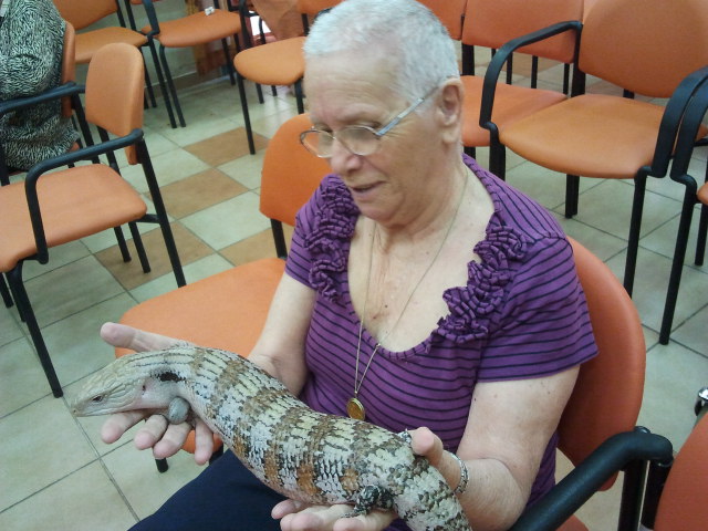 קרין ZOO — גלריית תמונות, תמונה 39 מתוך 145